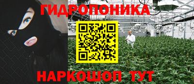 ГАЛЛЮЦИНОГЕННЫЕ ГРИБЫ Тулун