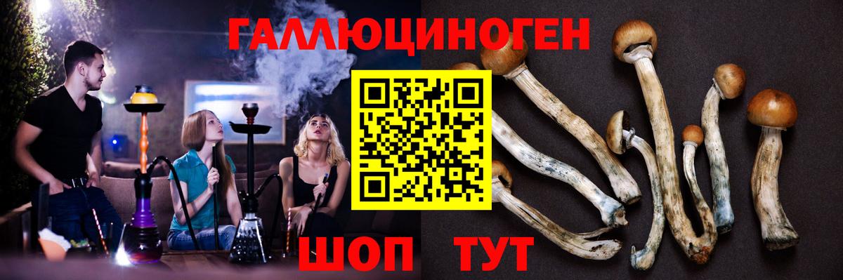 Галлюциногенные грибы Psilocybe Красноперекопск